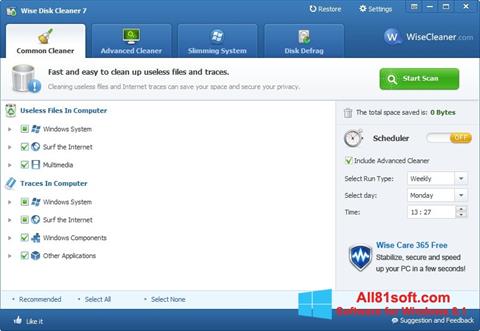 Screenshot Wise Disk Cleaner Windows 8.1