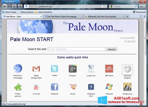 Screenshot Pale Moon Windows 8.1