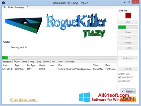 Screenshot RogueKiller Windows 8.1