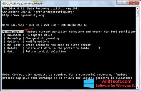 Screenshot TestDisk Windows 8.1